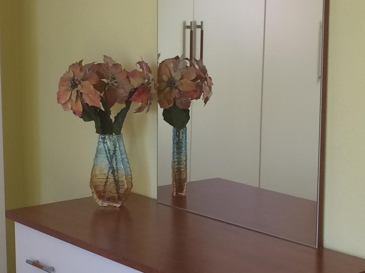 مبيت وإفطار تيرانا Friends House المظهر الخارجي الصورة